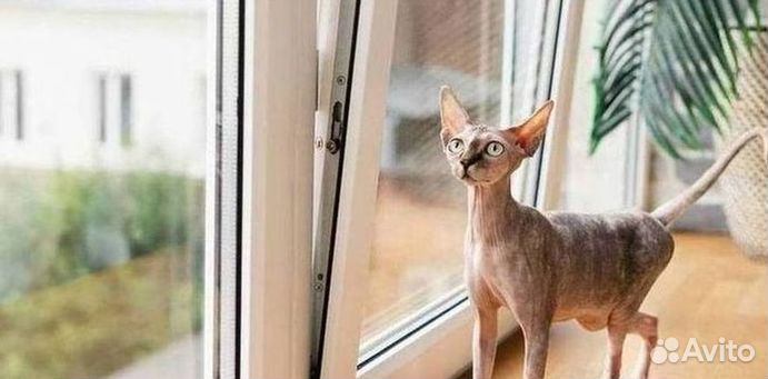 Окна за 1 день