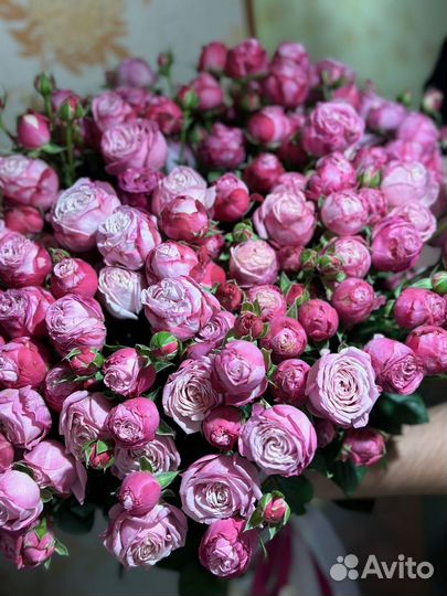 Розы премиум