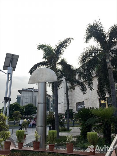 Репетитор по английскому языку