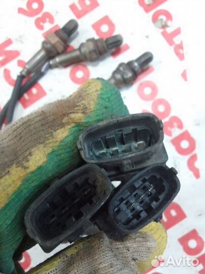 Датчики кислородный заз Sens 1