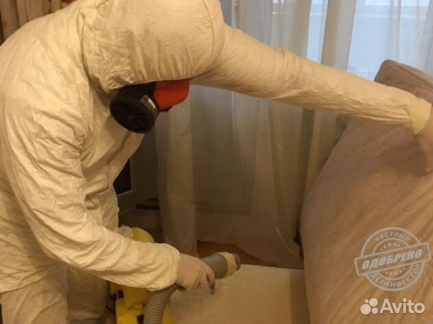 Уничтожение клопов тараканов дезинфекция плесени