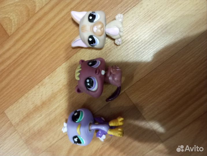 LPS, MLP