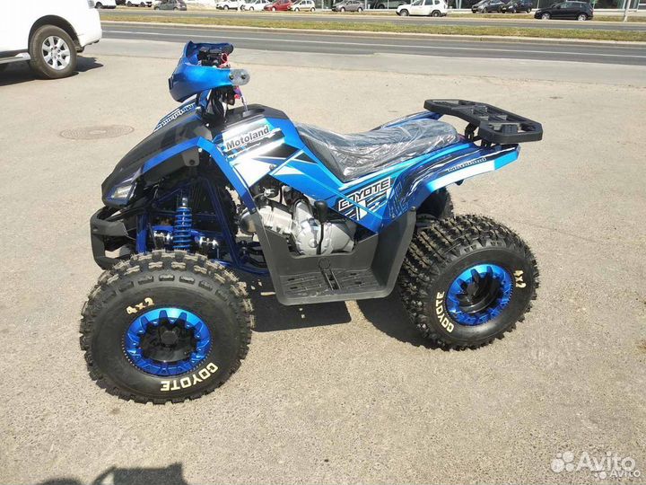 Квадроцикл motoland (мотоленд) 125 coyote
