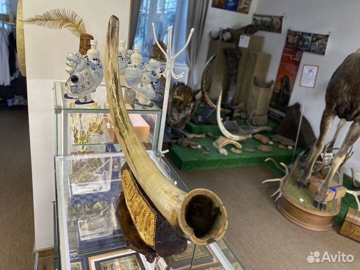 Бивень мамонта