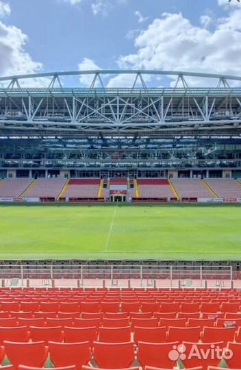 Спартак-Зенит сектор С113