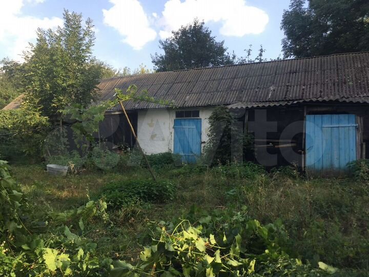 Дом 54,7 м² на участке 50 сот.