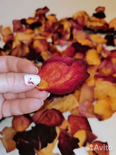 Сухие лепестки роз