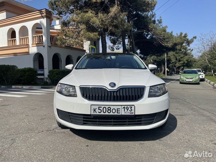 Аренда авто Skoda Octavia