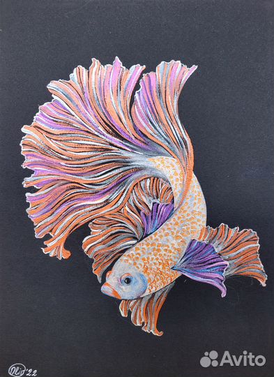 Картина Акварелью Рыбка 20 х 30 см