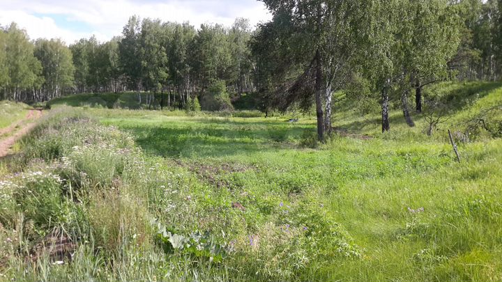 Участок 12 сот. (СНТ, ДНП)