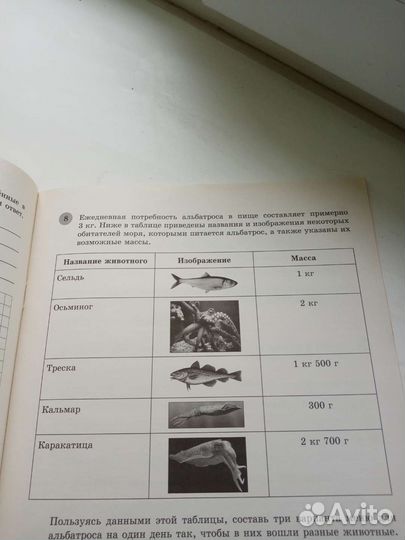 Комплексные задания к текстам 4 класс
