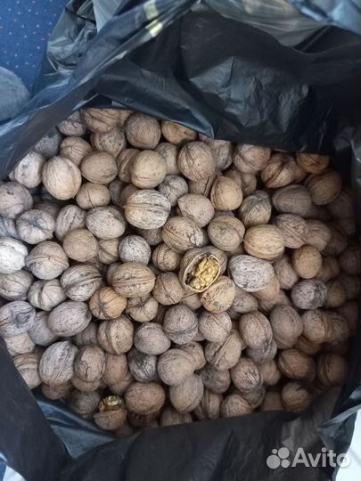 Продам грецкий орех