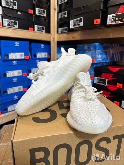 Adidas Yeezy Boost 350 v2 Cream White 36-49