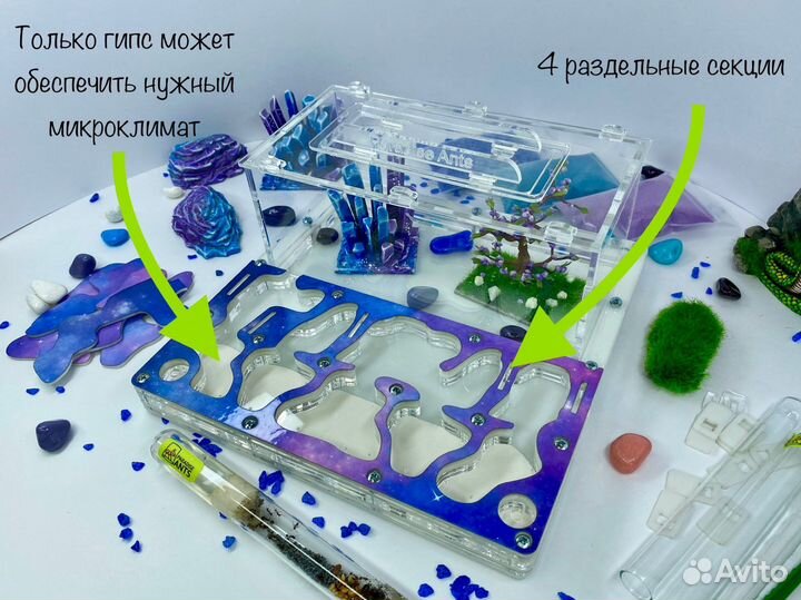 Муравьиная ферма