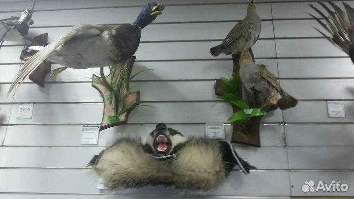 Ковер барсук