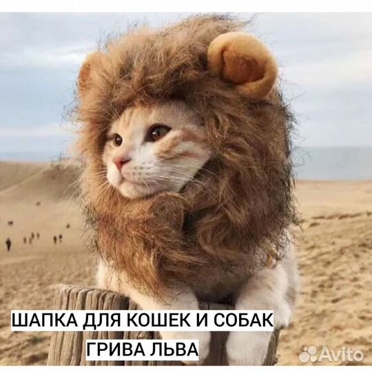 Шапка для кошки или маленькой собаки