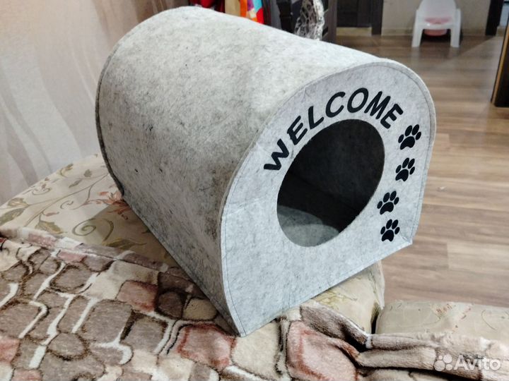 Бенгальские котята