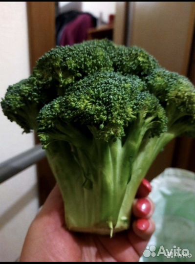 Продукты на корм для животных