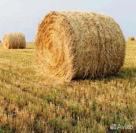 Солома в рулонах