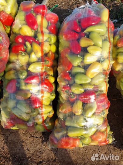 Перец сладкий