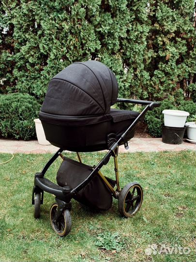 Коляска Adamex Belissa Special Edition 2 В 1