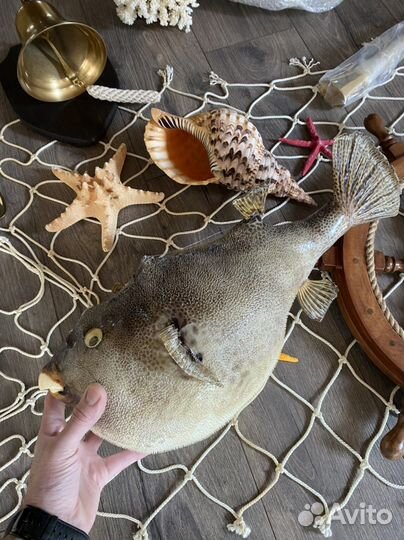 Кораллы Рынды Якоря Штурвалы Колокола и др