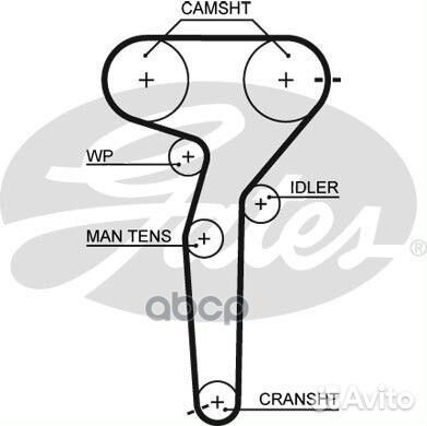 Ремень грм 167x240H Fiat Bravo/Marea, Lancia