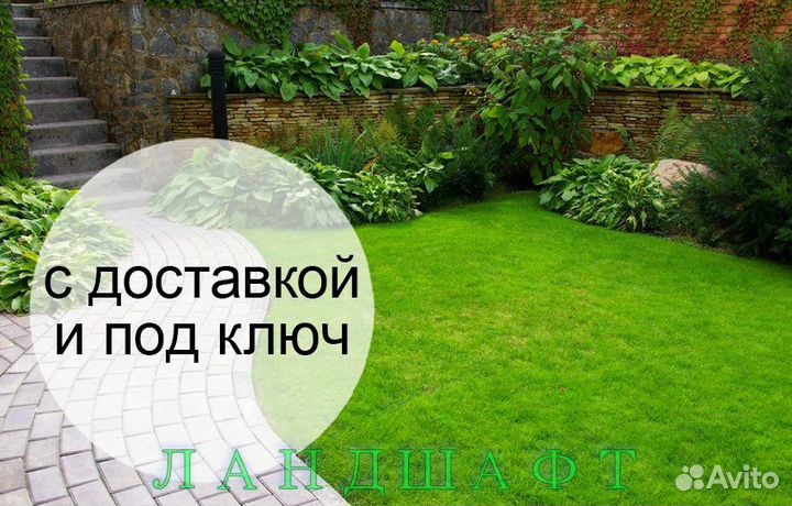 Парковый рулонный газон с укладкой Подольск