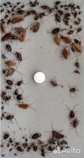 Форсайт ловушка