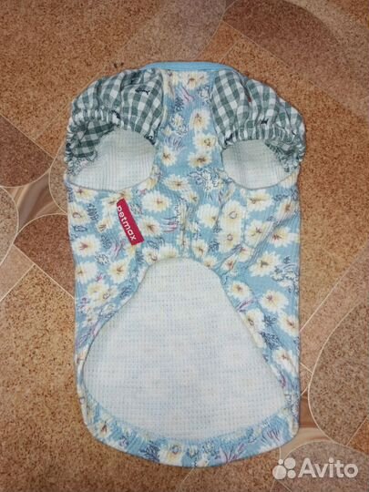 Вещи для маленьких собак