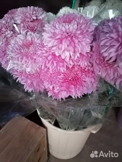 Продаётся цветы