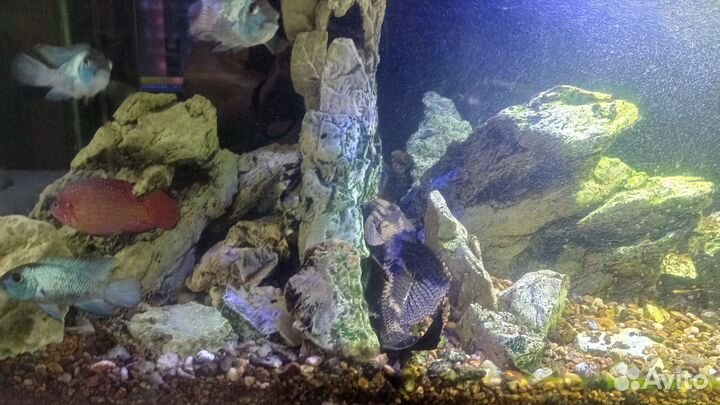 Аквариум