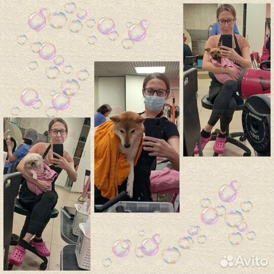 Помощник грумера