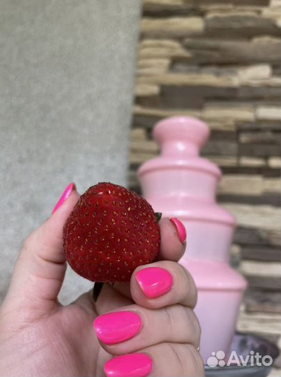 Шоколадный фонтан