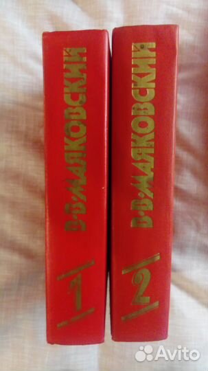 В,В. Маяковский