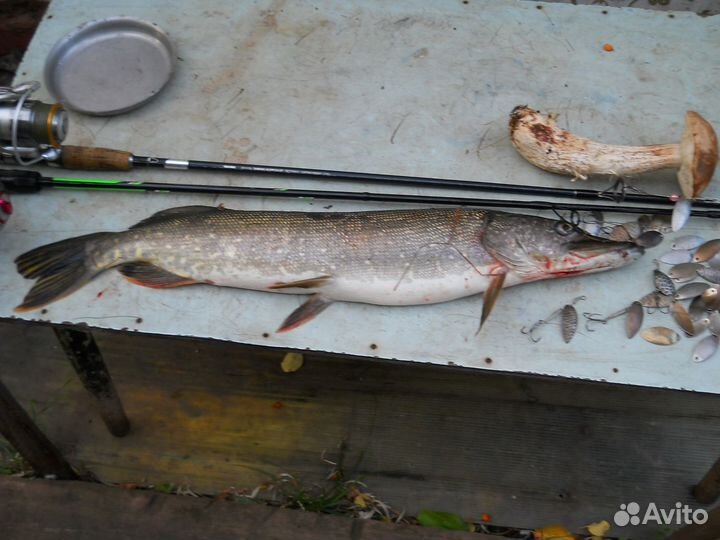 Набор уникальных блёсен