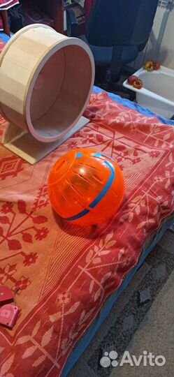 Шар для шиншилл и белок