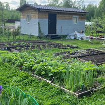 верея - Дома, дачи, коттеджи 🏡 в Орехово-Зуево: купить