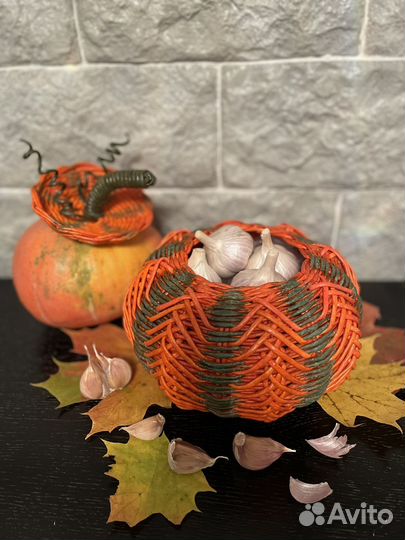 Тыква декоративная