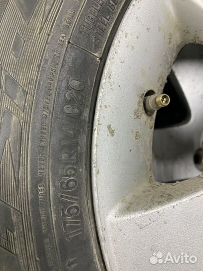 Toyo Observe GSi-5 175/65 R14