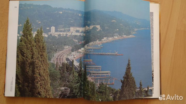 Нива Кубани