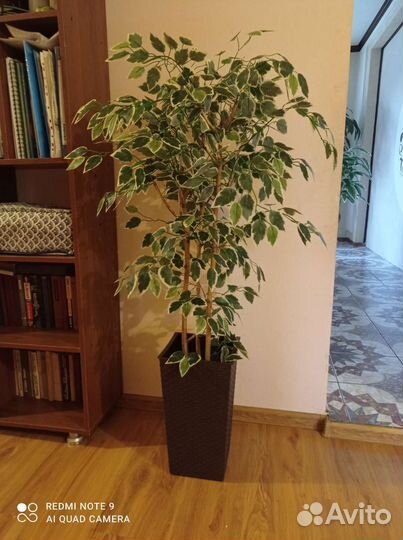 Искусственное дерево фикус Бенджамина