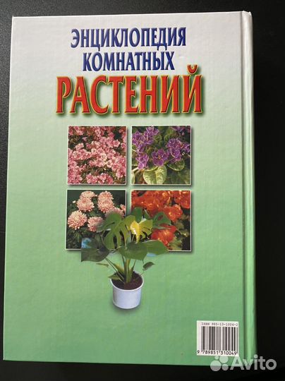 Энциклопедия комнатных растений С.Л.Быховец
