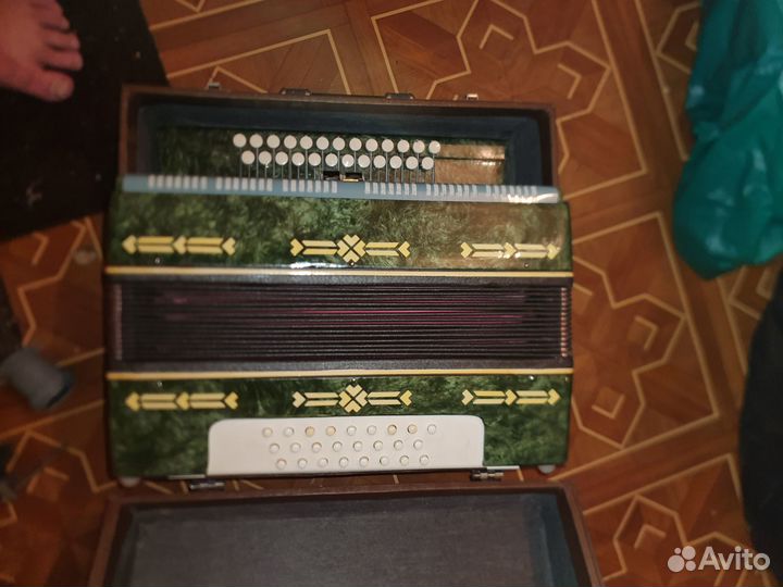 Гармонь гармошка два регистра