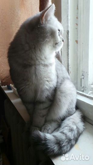 Котик для вязки