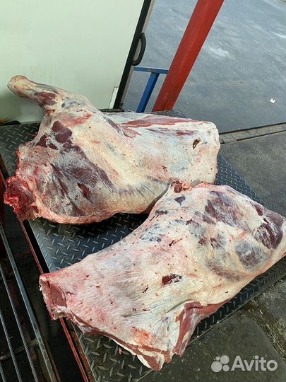 Мясо Говядина