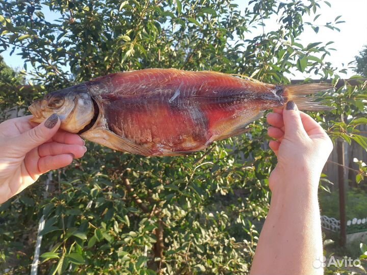 Вяленая Чехонь Сопа свежий посол.Лещ весенний