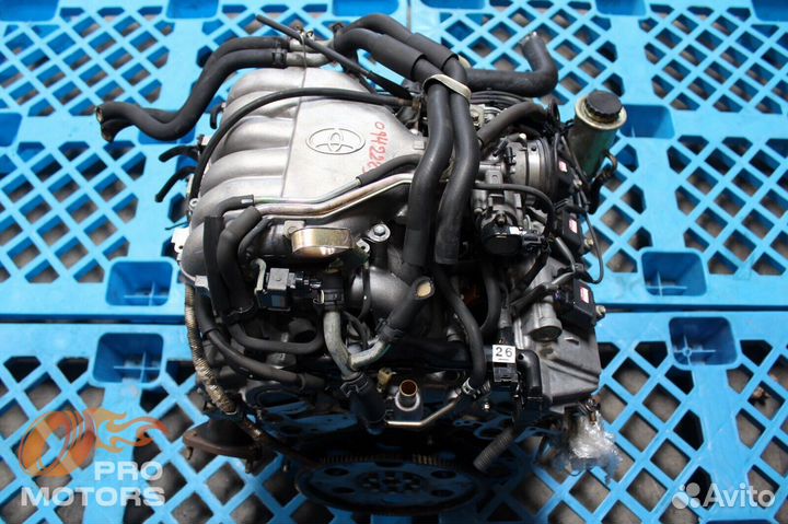 Двигатель 5VZ-FE 3.4 V6 Four Cam 24V dohc