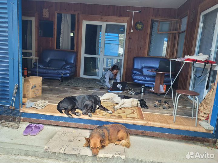 Кемпинг у моря