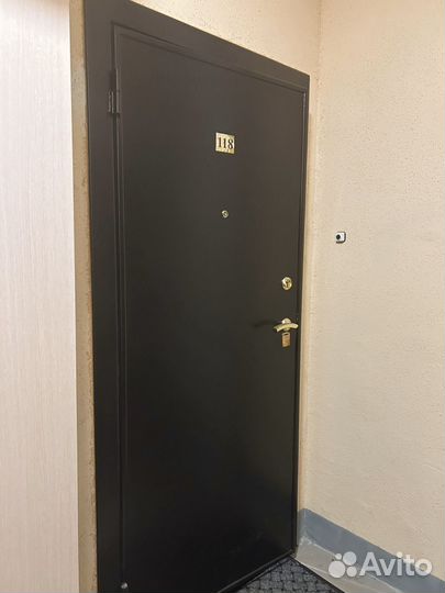 Дверь входная металлическая